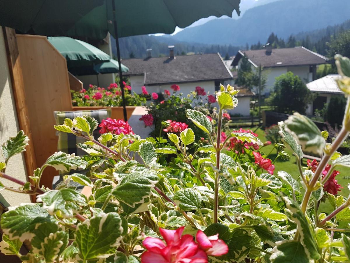 Gaestehaus Schoeneweiss Ehrwald Bagian luar foto